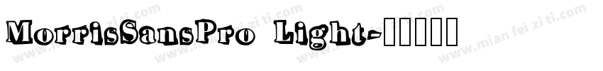 MorrisSansPro Light字体转换